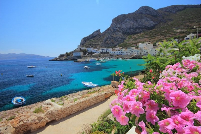  Flowered Levanzo 
